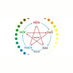 Five Elements Profile Picture
