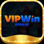 vipwin rip Profile Picture