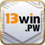 13win pw Profile Picture