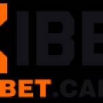 Xibet Cam Profile Picture