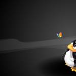 gfdgfdg dfgfdgdf Profile Picture