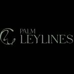 Palm Leylines Profile Picture