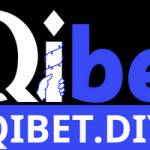Qibet Diy Profile Picture