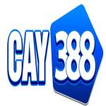 Cay388 cam Profile Picture