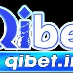 Qibet In Profile Picture