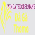 Đá Gà Trực Tiếp Thomo Profile Picture