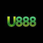 U888 netcombr Profile Picture