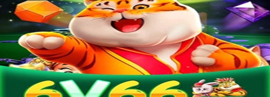 6v66 bet Cover Image