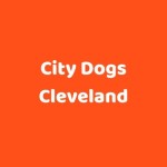 City Dogs Cleveland Profile Picture