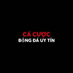 Nha cai Ca Cuoc Bong Da Profile Picture