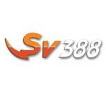 SV388 Jetzt Profile Picture