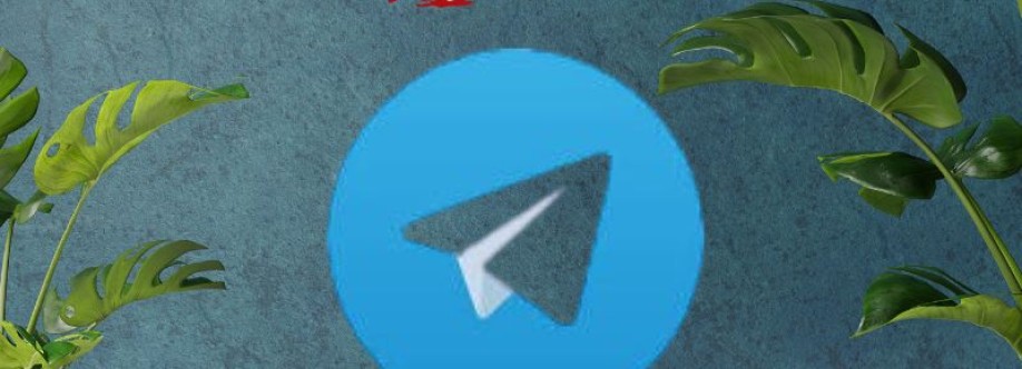 Buy Telegram Accounts Cover Image