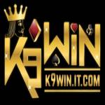 K9WIN it com Profile Picture