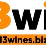 13Win Esbiz Profile Picture