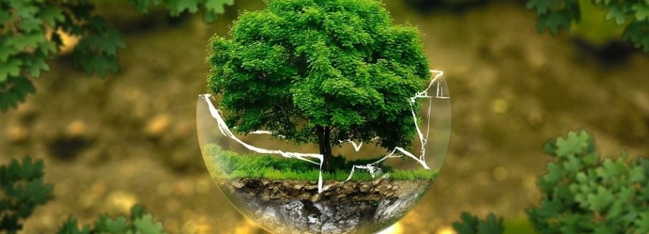 Sydney Environmental Group Ltd Cover Image