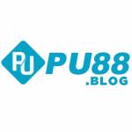PU88 Profile Picture