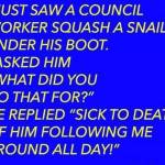 bob down Profile Picture