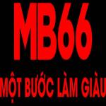 Taimb66 com Profile Picture