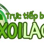 xoilac bz Profile Picture