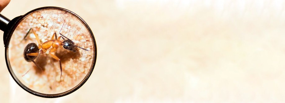 Bug Free Pest Control Cover Image