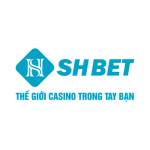 shbet rodeo Profile Picture