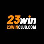 23WIN Profile Picture