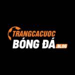 Trang Cá Cược Bóng Đá Uy Tín Trải Nghiệm Thể Thao Đỉnh Cao Profile Picture