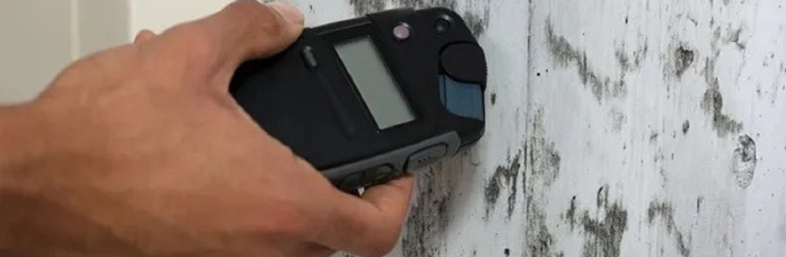 Mould Doctors Cover Image