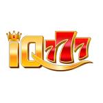 IQ777 Game Profile Picture