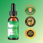 Audizen Audizen Profile Picture