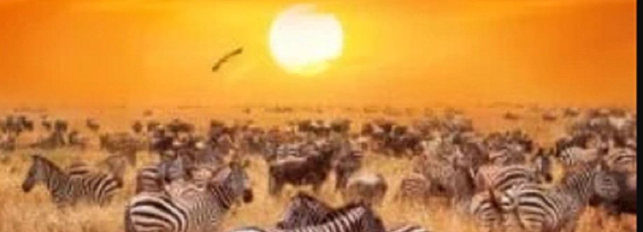 Safari in Africa Cover Image