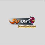 SV 388 Profile Picture