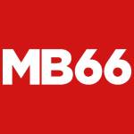 Mb66 Aacom Profile Picture