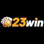 23wins de com Profile Picture