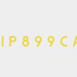 traga monedas Profile Picture