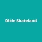 Dixie Skateland Profile Picture