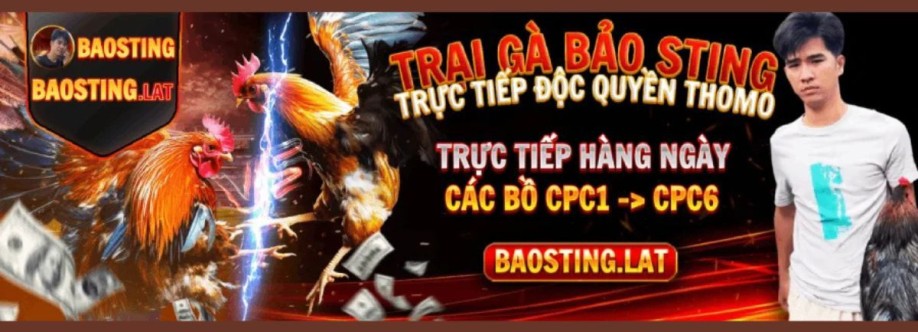 BAO STING Cover Image