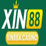 XIN88 Profile Picture