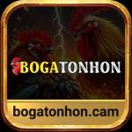 Bồ Gà Tonhon Profile Picture