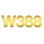 W388 It Profile Picture
