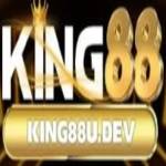 dev king88 Profile Picture