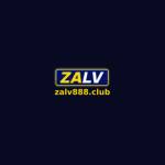 zalv888 zalv888 Profile Picture