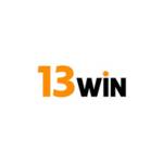13wiin 13wiin Profile Picture