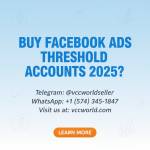 Buy Facebook Ads Threshold Accou USA profile picture