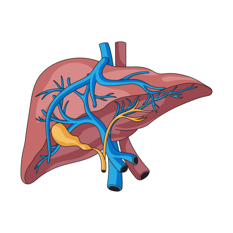 Expert Guidance for Managing Liver Problem: ext_6776948 — LiveJournal