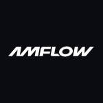 Amflow Bikes FR Profile Picture