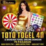 kokitoto kokitoto Profile Picture