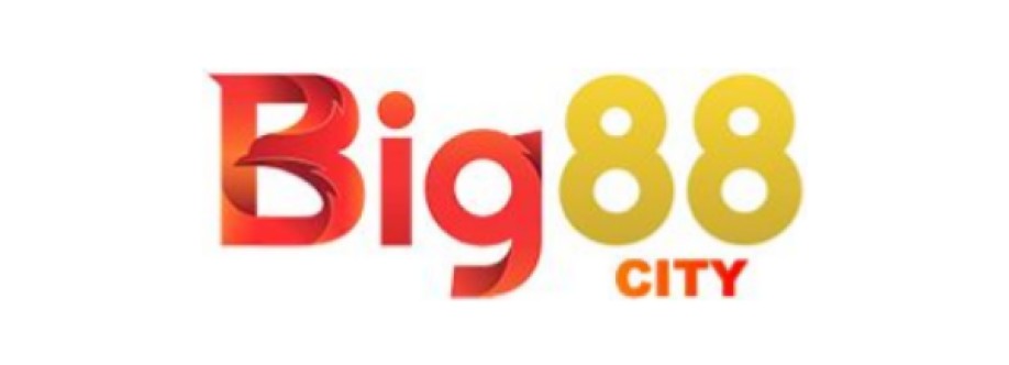 Big88 Work Cover Image
