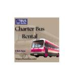 Busxoxo Service Profile Picture