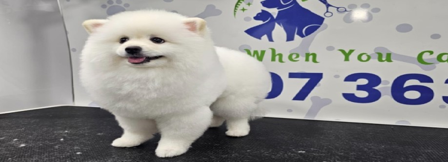 poshpamper mobile pets grooming Cover Image